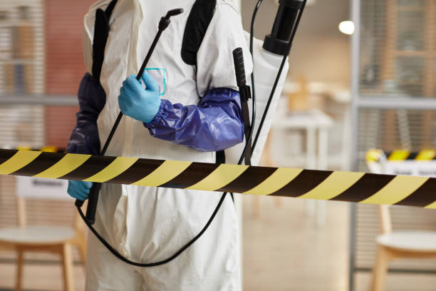 Professional Infectious Disease Decontamination technician working in Edgewood, TX
